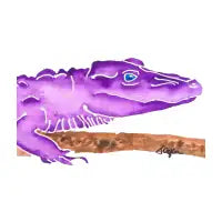 Purple Alligator - design