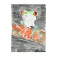 Red Eyed Treefrog - design