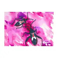 Ummat's Insects - design
