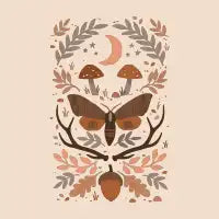 Life Cycle - design