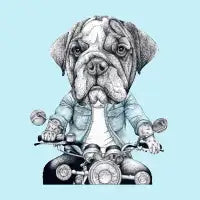 Bulldog - design