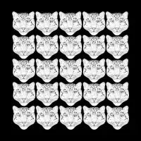 Black Panther Pattern - design