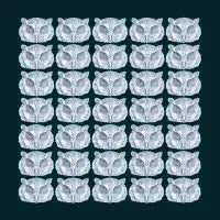 Blue Owl Print - design