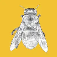 Bumble Bee - design