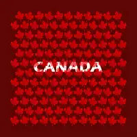 Canada Red Maple Leaves - design