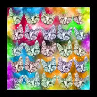 Cats in Space - design