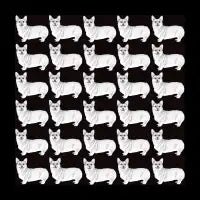 Corgi Dogs - design