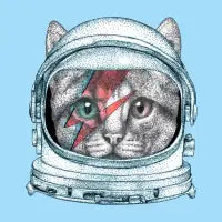 Space Cat - design
