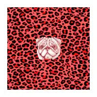 Exotic Leopard Pug - design