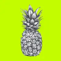 Pineapple - design