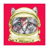 Space Cat - design