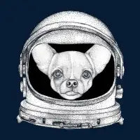 Space Dog - design