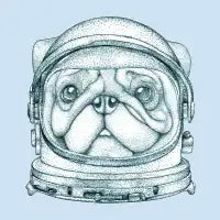 Space Pug - design