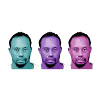 Tiger Triptych - design