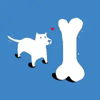 big bone - design