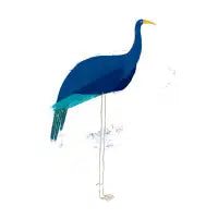 blue bird - design