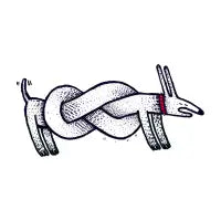 dog knot - design