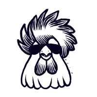 pollo pallo - design