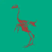 x-bird - design