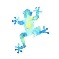 Blue Watercolor Frog - design