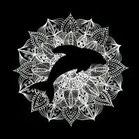 Dolphin Mandala Circle - design