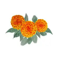 Orange Hydrangea Flowers - design
