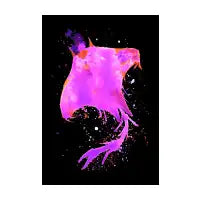 Pink Manta Ray - design