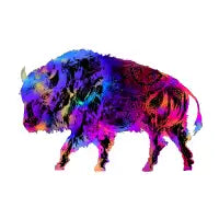 Rainbow Buffalo - design