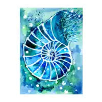 Turquoise Nautilus - design