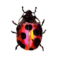 Watercolor Ladybug - design