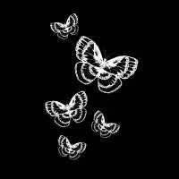 White Lines Butterflies - design