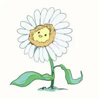 Daisy - design