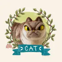 CAT - design