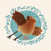 Flying Robin - design