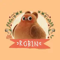 Robin - design