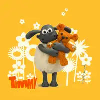 Timmy - design