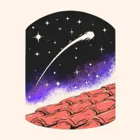 Wish - design