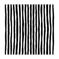 Black and White Stripes - design