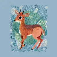 Dik-dik - design