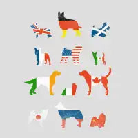 Many Nations Under Dog - design