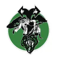 Capoeira Roots - design