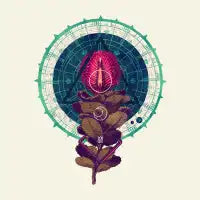 Birth - design