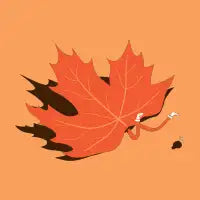 Fall - design