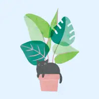 Monstera Cat - design