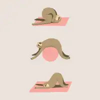 pi-sloth-tes - design