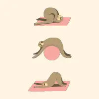 Sloth Pilates - design