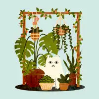 The King of the Jungle - design