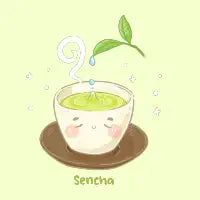 Sencha - design