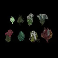 Cotton Threads - design