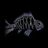 Skelepesca - design